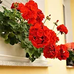 Club Haus 502 3* Калокса