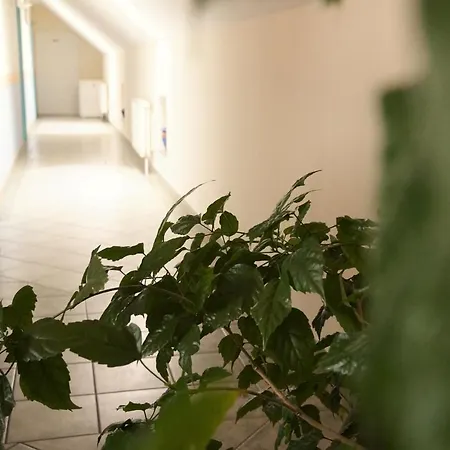Club Haus 502 Bed & Breakfast Kalocsa