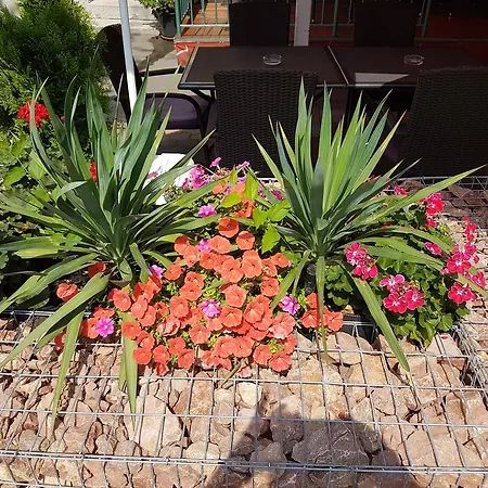 Club Haus 502 Bed & Breakfast Kalocsa