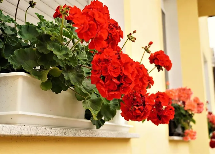 Club Haus 502 3* Kalocsa