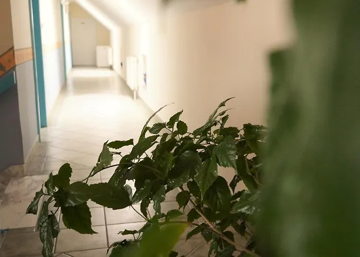 Club Haus 502 Nocleg ze śniadaniem Kalocsa