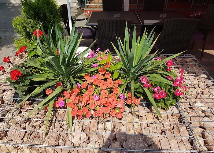 Club Haus 502 Nocleg ze śniadaniem Kalocsa